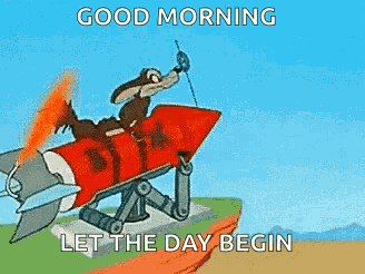 Wiley Coyote GIF