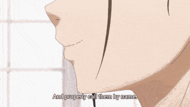 Wind Breaker Anime GIF