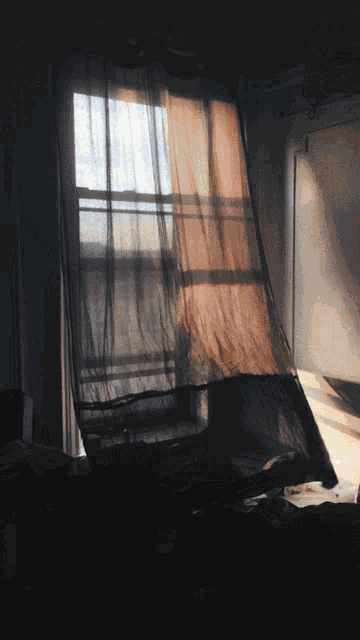 Window Chill GIF