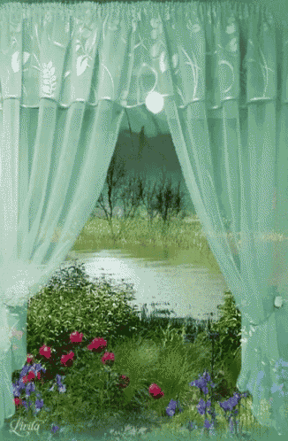 Window View GIF
