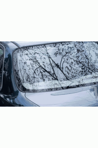 Windshield Replacement Companies Near Me Free Auto Glass Replacement GIF