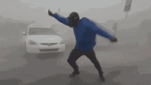 Windy GIF