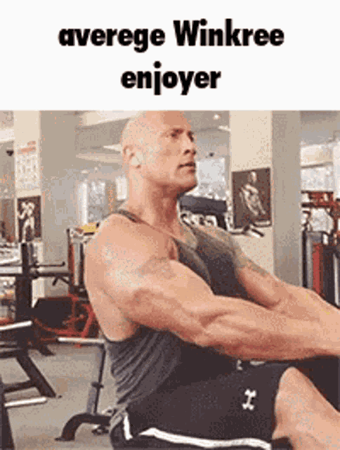 Winkree The Rock GIF