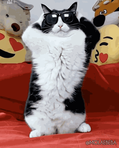Winner Weekend GIF