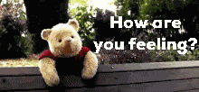 Winnie The Pooh Christoper Robin GIF