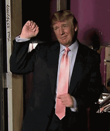 Winning Donald Trump GIF