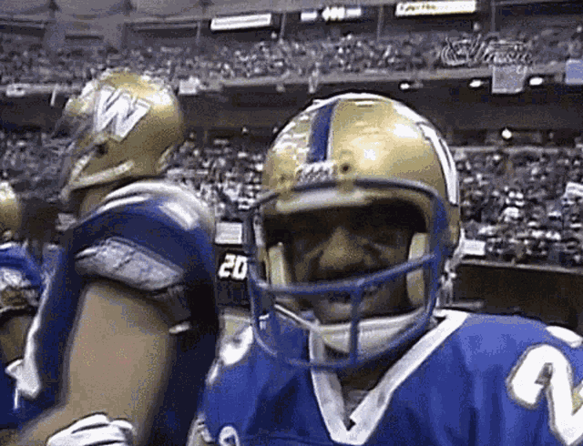 Winnipeg Blue Bombers Cfl GIF