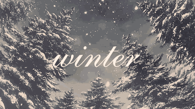Winter Snow GIF