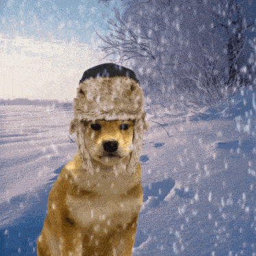 Winter Snowy GIF