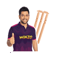 Winzo Well Bowled Sticker