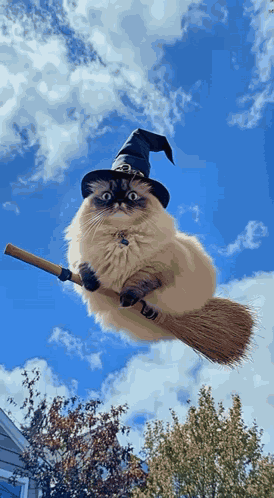 Witch Cat GIF