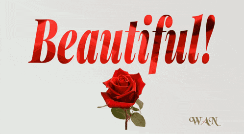 Wnowlin Beautiful GIF