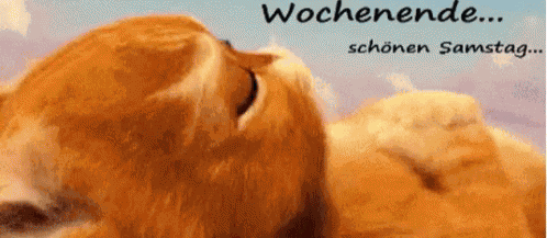 Wochenende... Schönen Samstag GIF