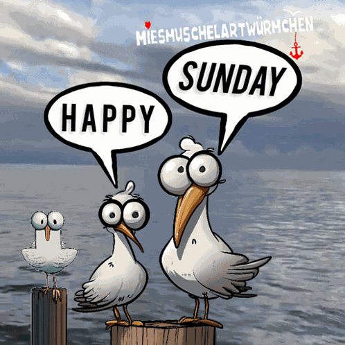 Wochenende Sonntag GIF