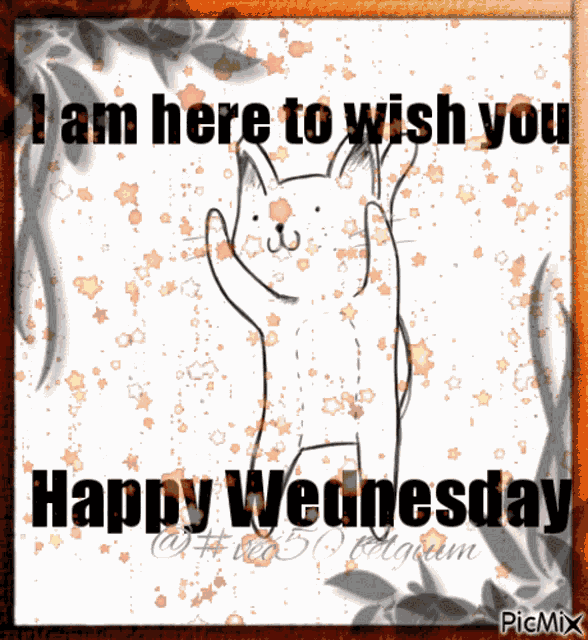 Woensdag Vec50 GIF