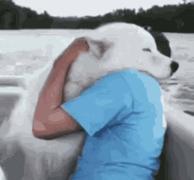 Wolf Hug GIF