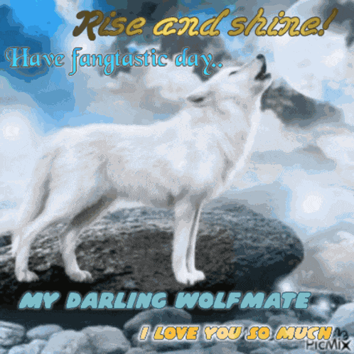 Wolf Mate I Love You GIF