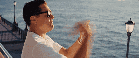 Wolf Of Wall Street GIF