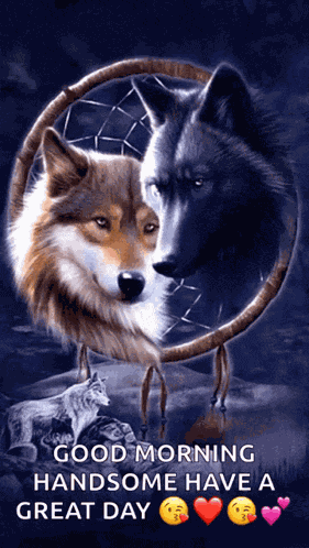 Wolf Pack Dream Catcher GIF