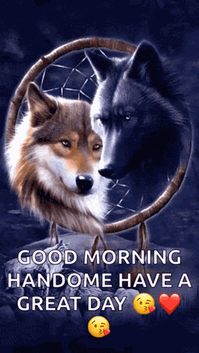 Wolf Pack Dream Catcher GIF