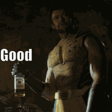 Wolverine Deadpool GIF