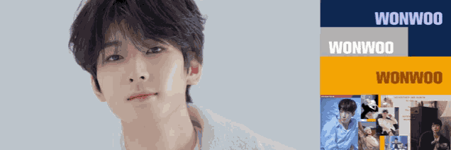 Wonwoo Meme