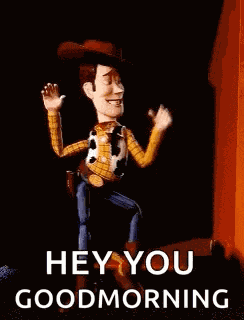Woody Toystory GIF