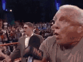 Wooooo Wwe GIF