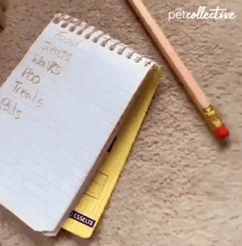Working The Pet Collective GIF