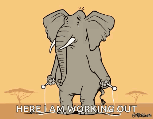 Workout Fat GIF