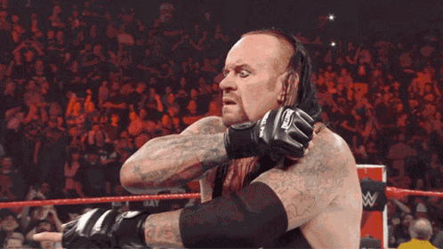 World Wrestling Entertainment Wwe GIF