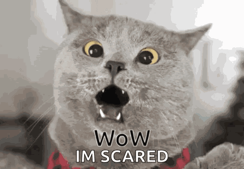 Wow GIF