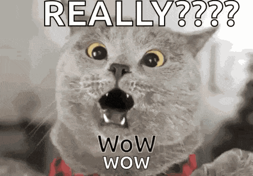 Wow GIF