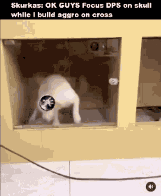 Wow Tbc Wow Overaggro GIF