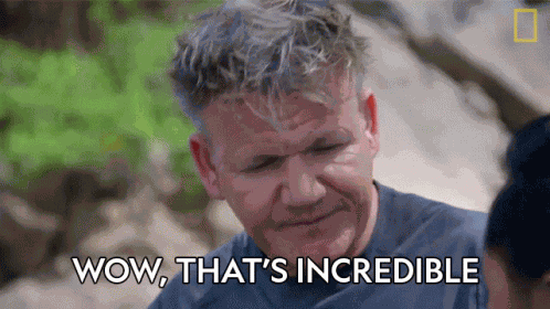 Wow Thats Incredible Gordon Ramsay GIF