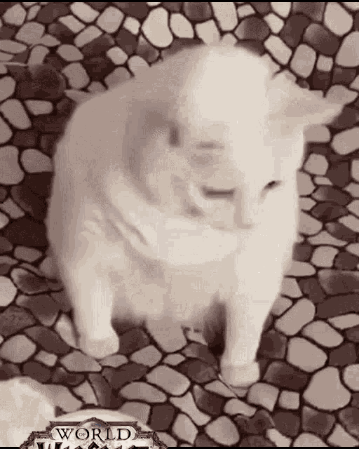 Wow World Of Warcraft GIF