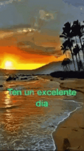 Wrotela1 Rotelaw GIF