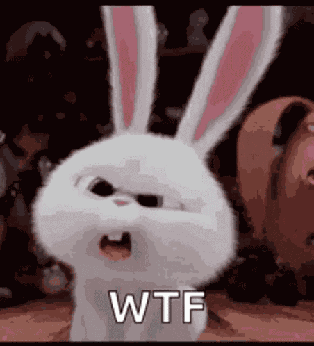 Wtf Confused GIF