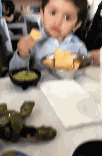 Wtf Eating GIF