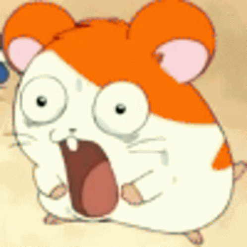 Wtf Funny GIF