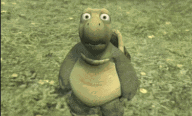 Wtf What The Hell Meme