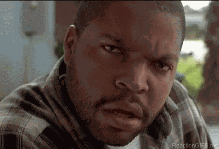 Wtf GIF