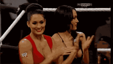 Wwe Brie Bella GIF