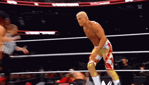 Wwe Wwe 2024 GIF