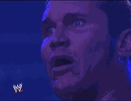 Wwe Wwe Survivor Series 2005 GIF
