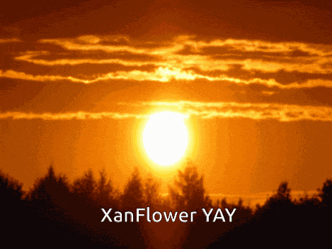 Xander Drdt Xander Matthews GIF