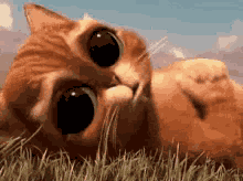 Xdiey Claymore GIF