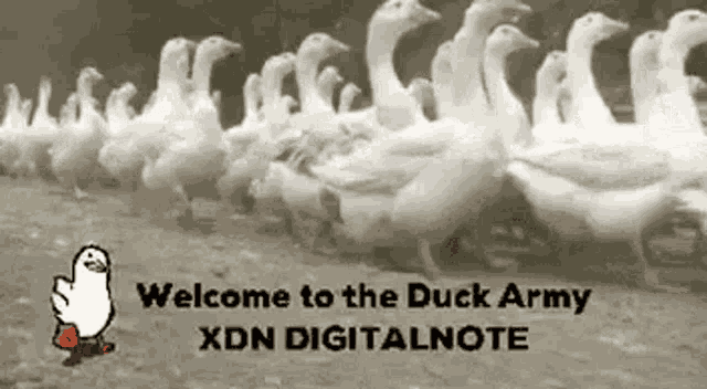Xdn Wxdn GIF