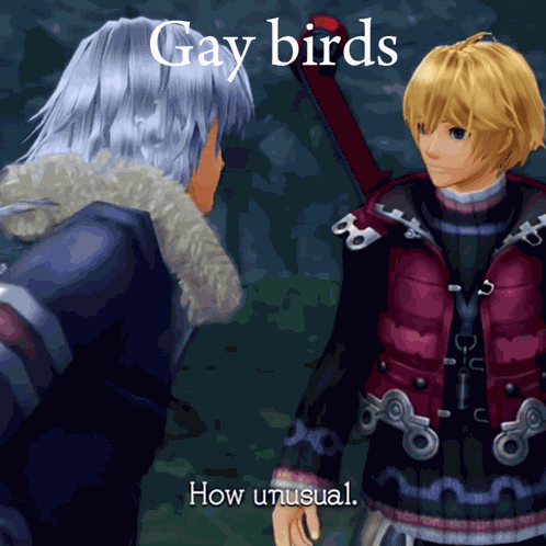 Xenoblade Xenoblade Chronicles GIF