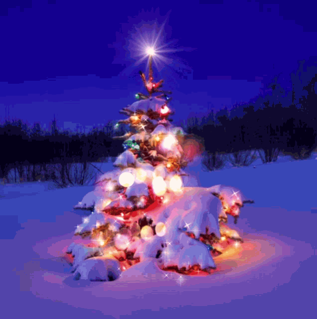 Xmas Tree Christmas Tree GIF